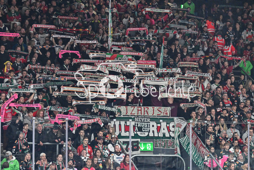 Augsburger Panther - Straubing Tigers | Die Fans der panther bedanken sich bei der Mannschaft / Zuschauer / Ultras / DEL: Augsburger Panther - Straubing Tigers, Curt Frenzel Stadiom am 20.10.2024