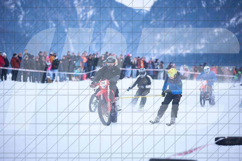 11. Holzknecht Skijöring | Skijöring am 24.01.2026: 11. Holzknecht Skijöring in Gosau am Dachstein, Oberösterreich, ÖsterreichFoto: © 2026 Martin Bihounek | mb-creative.eu