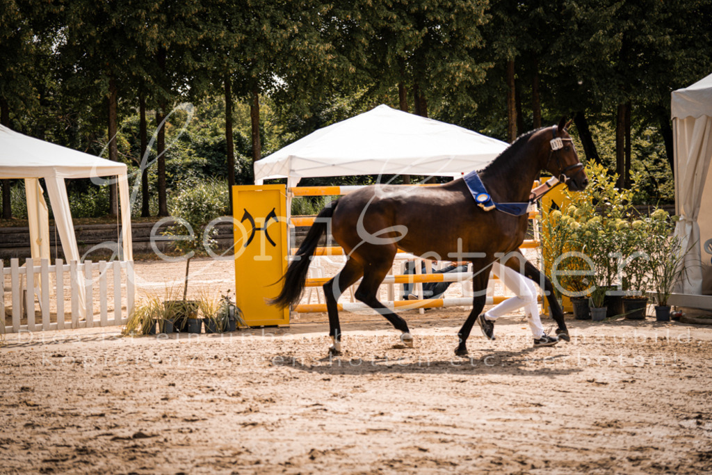 1.Fr00205 | Leoni Ertmer Photography - Realisiert mit Pictrs.com