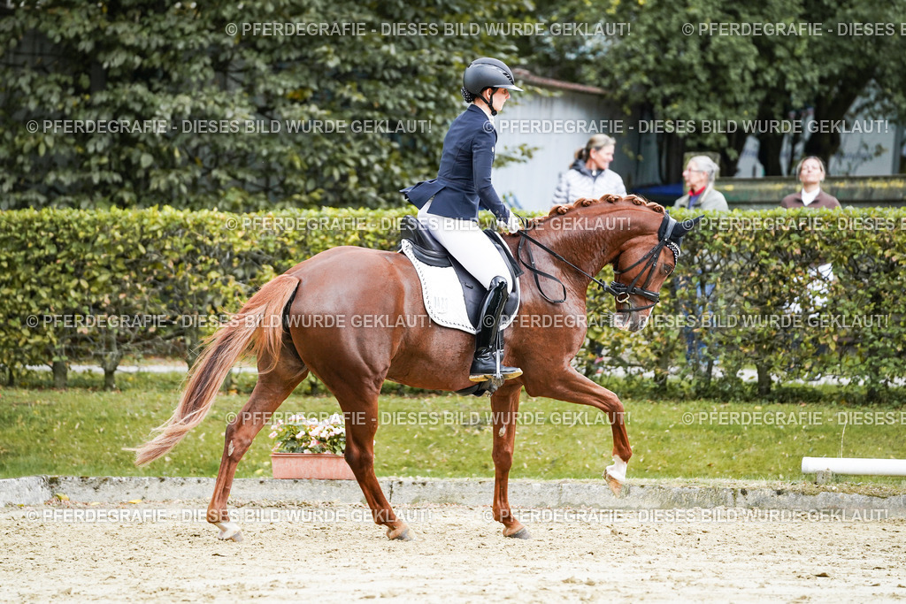 DSC06888 | Pferdegrafie