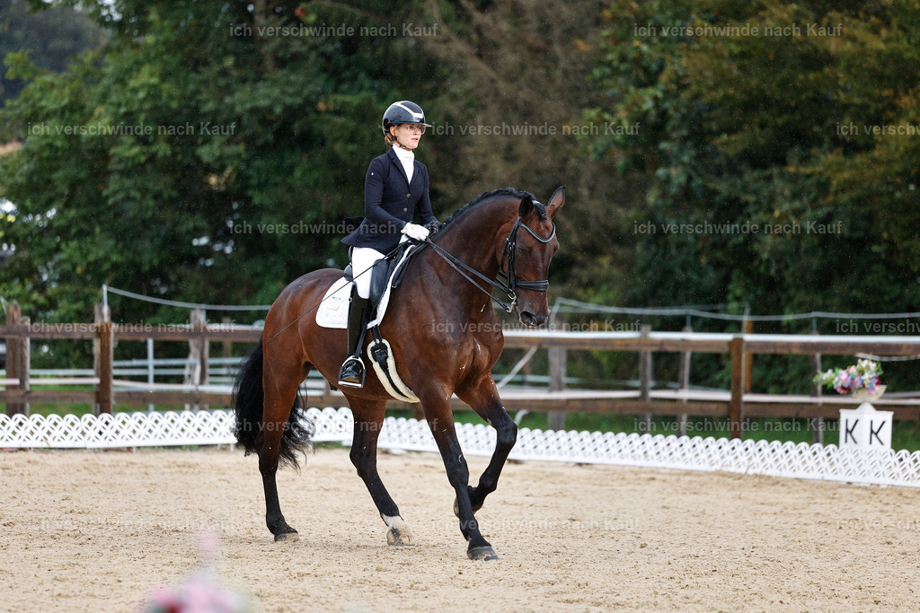 05-022-DRESSUR M_  -StoibPH-4915 | working equitationturnier fotograf videograf stoibphotography marixx film working equitation deutschland reitsport turnierfotografie eventfotografie equestrian events