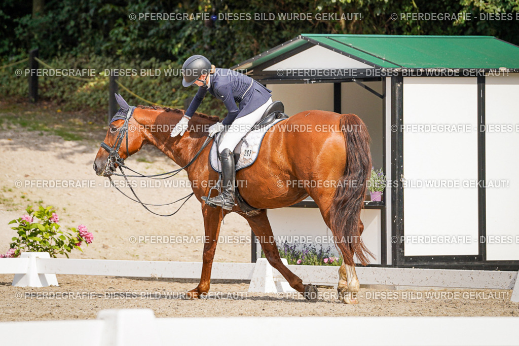 DSC07453 | Pferdegrafie