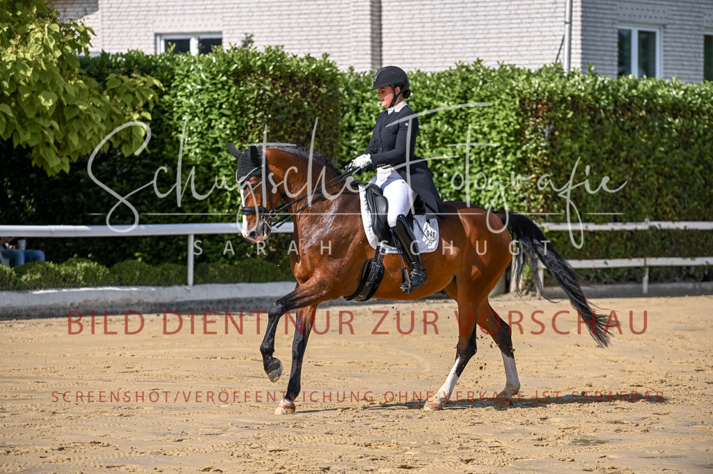 Schugtsche-Aluta25-58. Dressurprf.S1Kand.St.GeorgSpecial-268 | Schugtsche Fotografie - Realisiert mit Pictrs.com