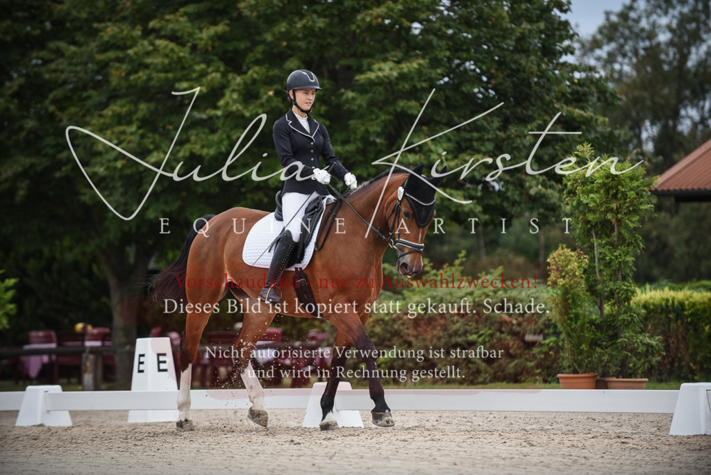 DSC_8272 | Pferde- und Turnierfotografie in Westsachsen. Pferdeportraits, Auftragszeichnungen und intuitive Kunst.