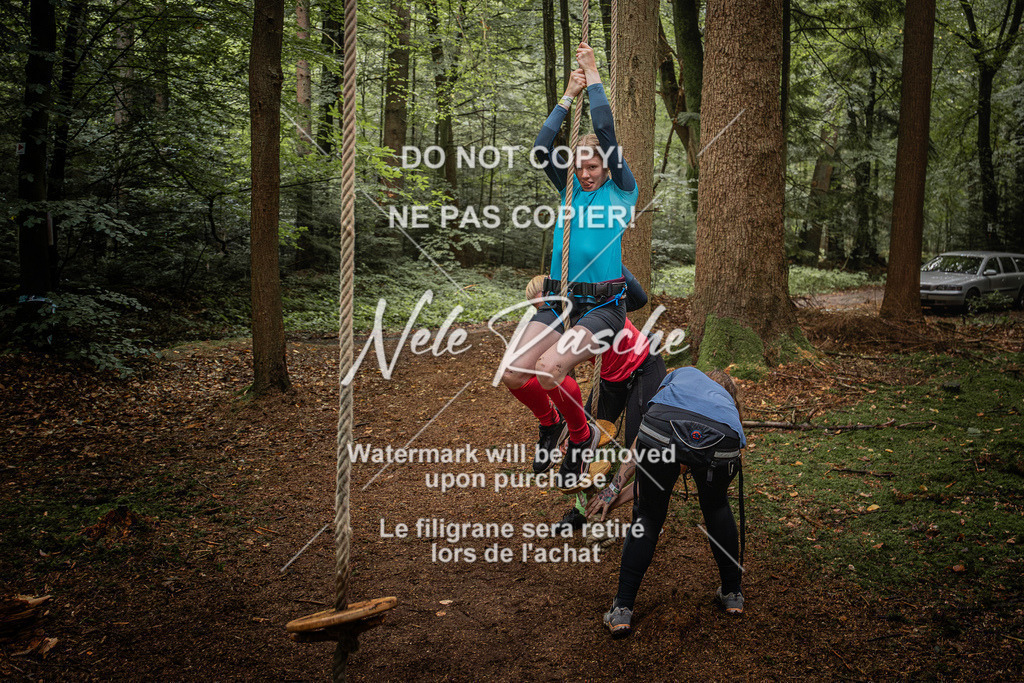 nelerasche_SoWingst1130-1230_25 | nelerasche