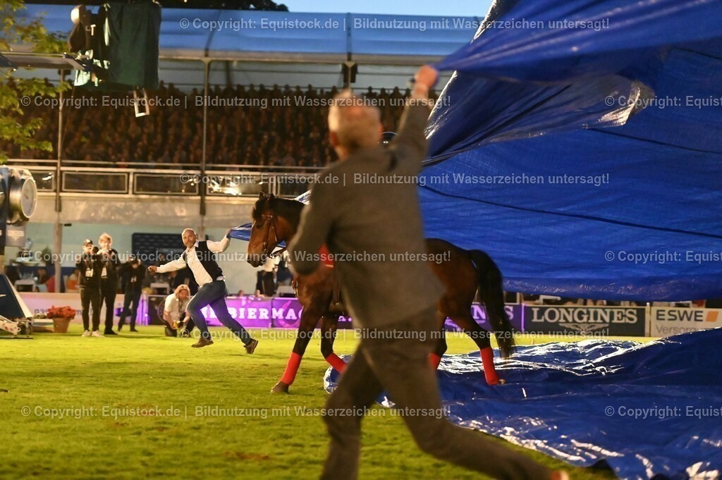 20230526_Pferdenacht_1071 | equistock