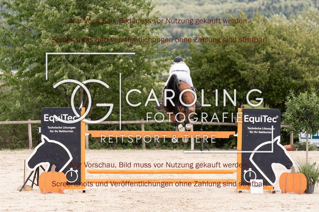 DSC06778 | Springturnier_Teamchallege_Talheim_2026, Clarissa_Schwär, Cranberry_19
