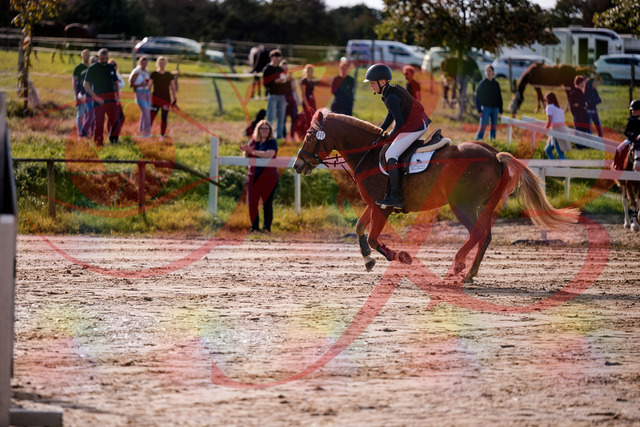 2026_10_03_Siefer-Hof_144730_Z81_24894566 | Professionelle Reitsport-, Turnier- und Eventfotografie von Robert Broda. Galerien mit ausgewählten und bearbeiteten Bildern direkt online ansehen und bestellen.
