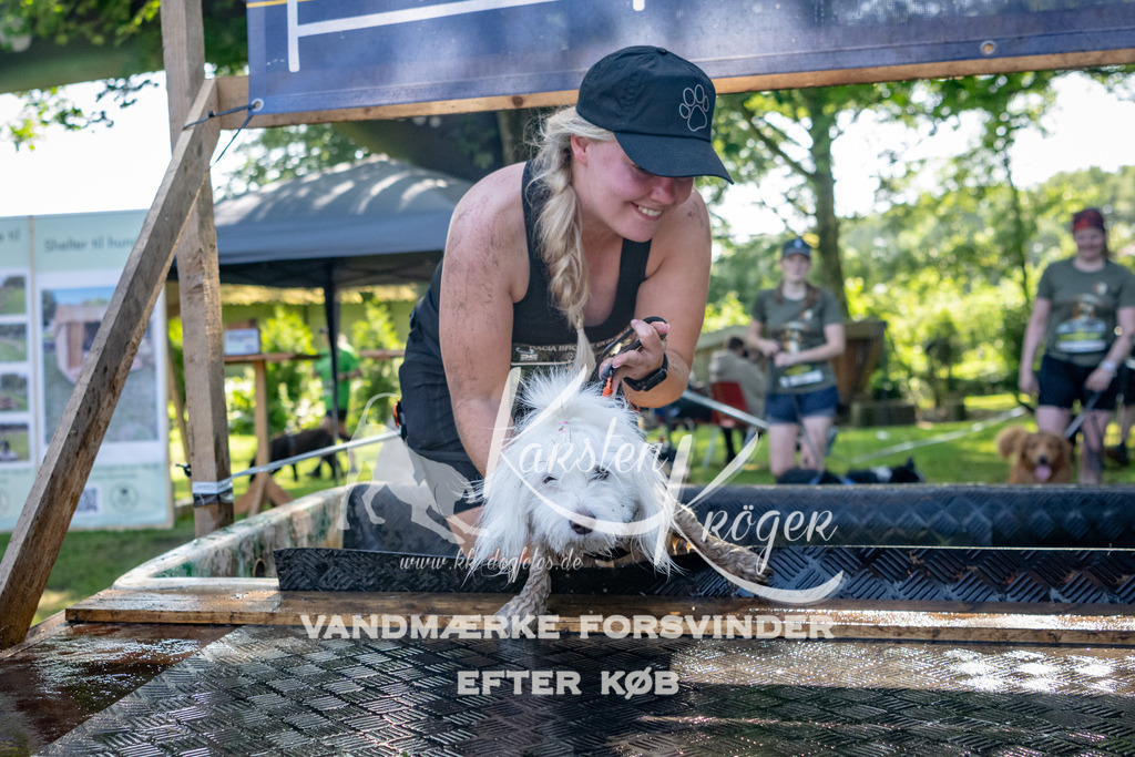 1539_ZZ92428 | kk-dogfotos