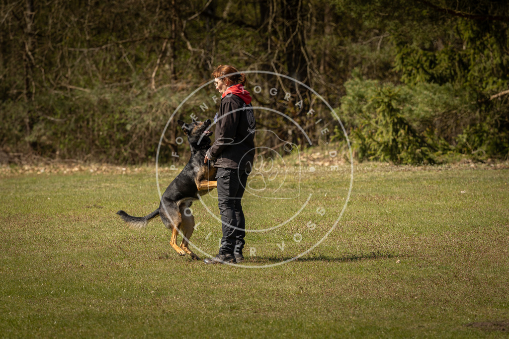 Pfotenfotografie_DV3A0953 | Hundefotografie, Tierfotograf, Pfotenfotografie, Fotoshooting Hund, Hunde Portrait, Hundesport, Hundeportraits, Heideshooting, Hunde, Sportfotograf, Hundefotograf, Turnierhundsport, THS,  - Realisiert mit Pictrs.com
