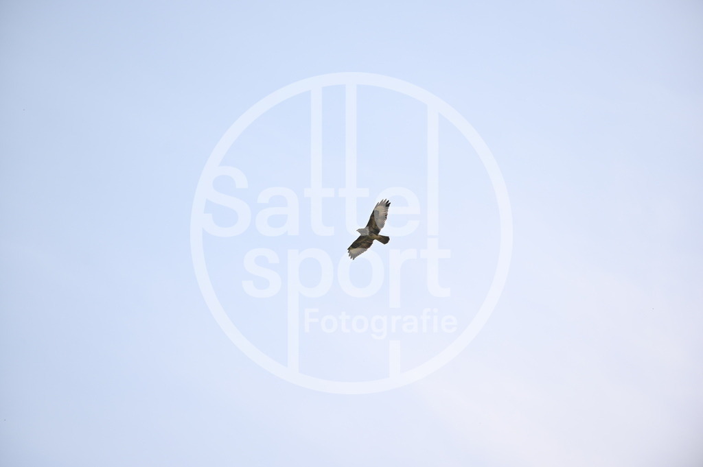 DSC_4560 | sattelsport - Realisiert mit Pictrs.com