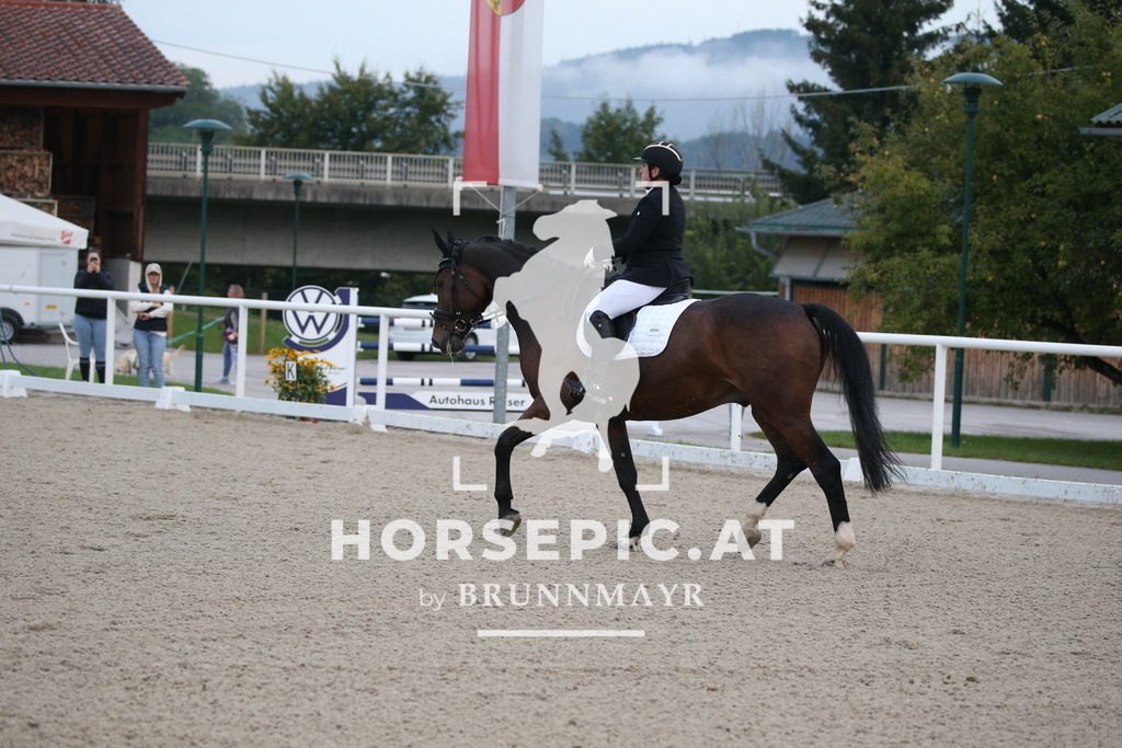 DL2Q1038 | Willkommen bei Brunnmayr - Design & Fotografie – Ihrem Spezialisten für Reitturniere und Pferdeveranstaltungen in Oberösterreich, Salzburg und Bayern! Seit über 17 Jahren sind wir leidenschaftlich dabei.