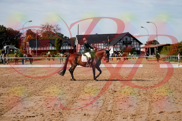2026_10_03_Siefer-Hof_123045_Z63_51667422 | Professionelle Reitsport-, Turnier- und Eventfotografie von Robert Broda. Galerien mit ausgewählten und bearbeiteten Bildern direkt online ansehen und bestellen.