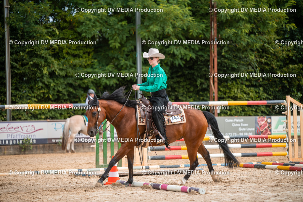 ZS2_7726 | dv-media-shop - Realisiert mit Pictrs.com