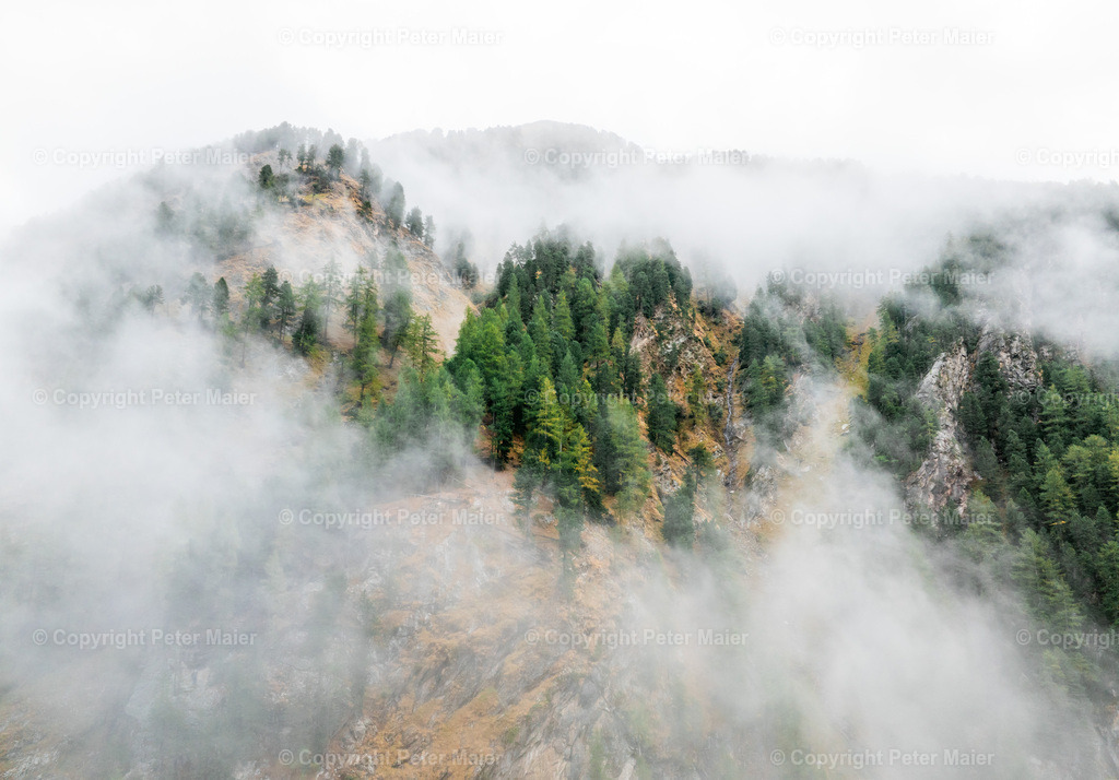 Divers_Erlebnisraum_Wald_23_Peter_Maier-883 | default