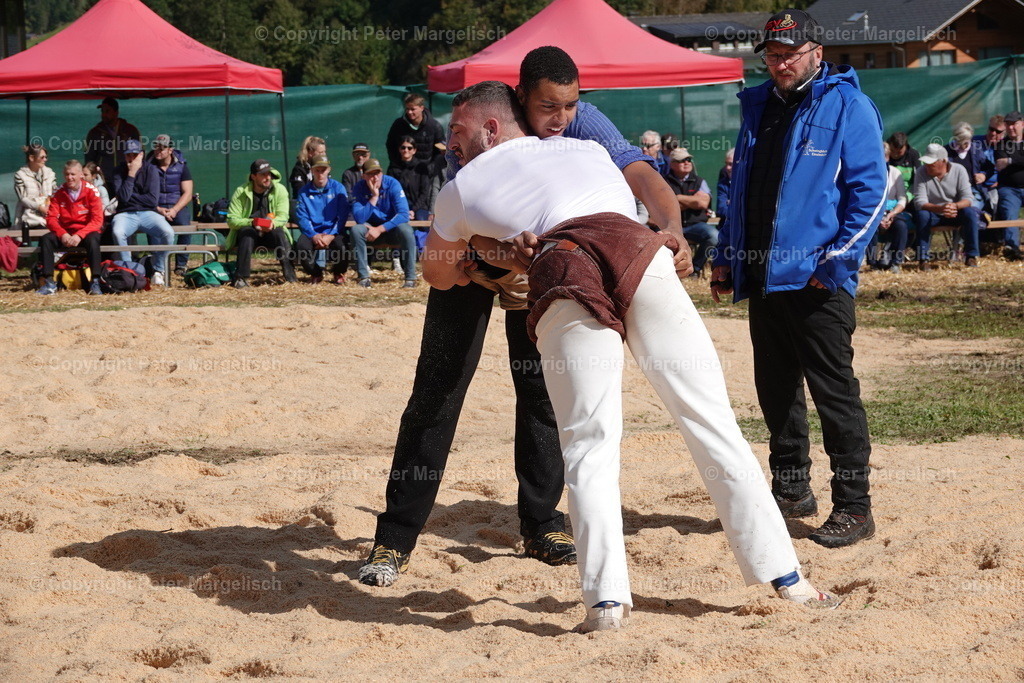 DSC00066 | Schwingen - Realisiert mit Pictrs.com