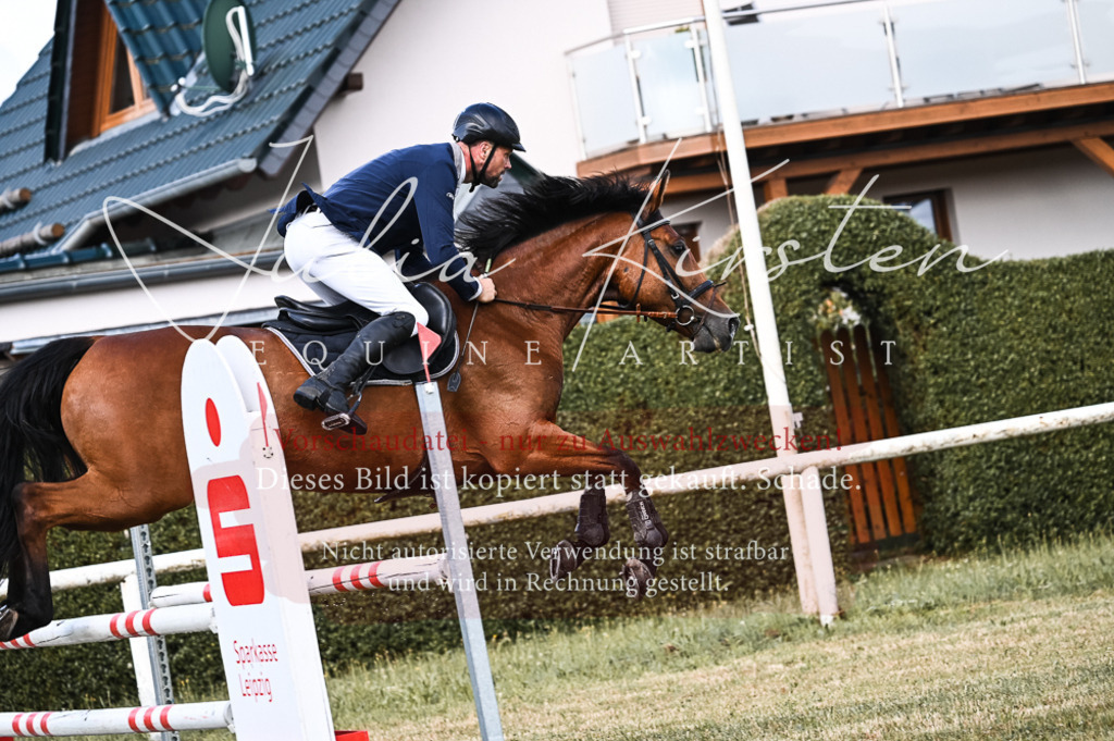 DSC_7623 | Pferde- und Turnierfotografie in Westsachsen. Pferdeportraits, Auftragszeichnungen und intuitive Kunst.
