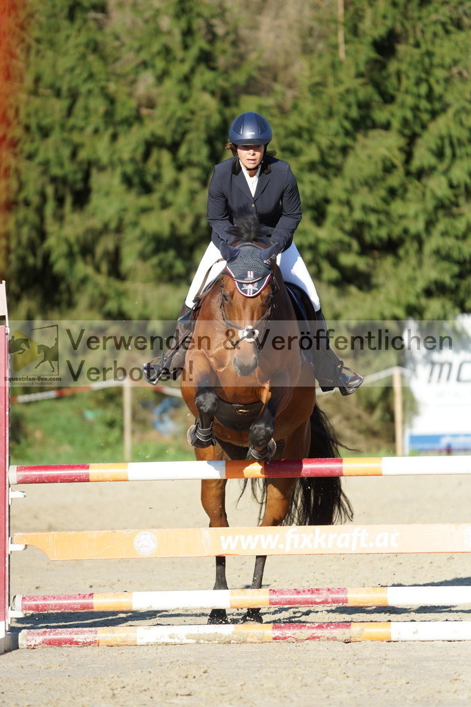 DSC09440 | equestrian-live-com