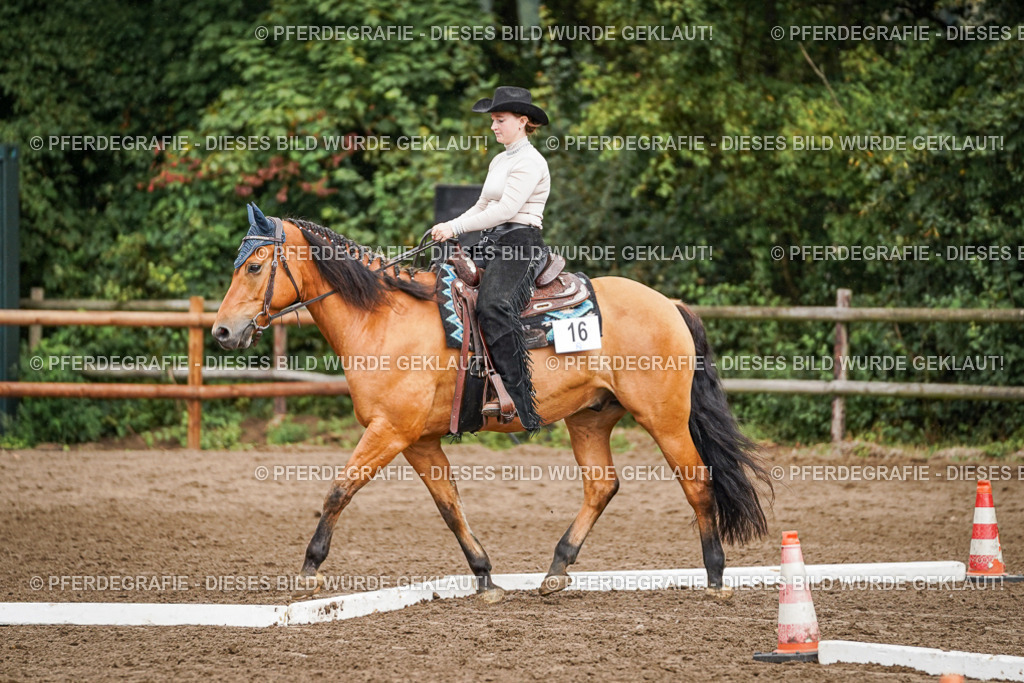 DSC04462 | Pferdegrafie