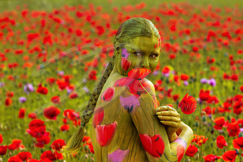 NatureArt-ROTMOHN_2030c | Roter Mohn blickt keck | #005a | Modell: Tatjana Heinz | Foto: Andreas P. - Realisiert mit Pictrs.com
