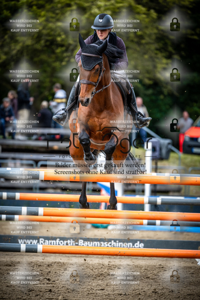 Sielturnier 2026-14-0077 | Entdecke hochwertige Reitturnierfotos von Foto Oger. Professionell, emotional und authentisch – jetzt Lieblingsmomente im Shop bestellen.Deutschlandweite Turnierfotografie. - Realisiert mit Pictrs.com