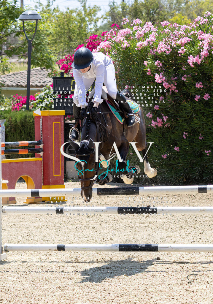 IMG_7400 | s-jay-photography - Realisiert mit Pictrs.com