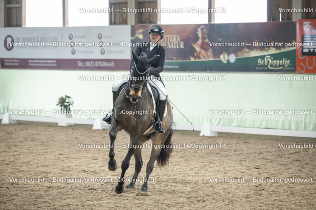 _D5A6081 | Emotionale Pferde- & People-Fotografie rund um Heidelberg, Leimen & Umgebung. Natürliche Fotos von Pferd, Mensch & Familie. Jetzt Termin sichern!