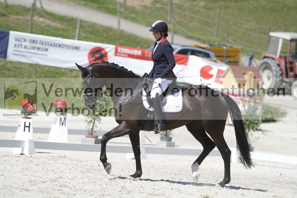 _MG_0262 | equestrian-live-com