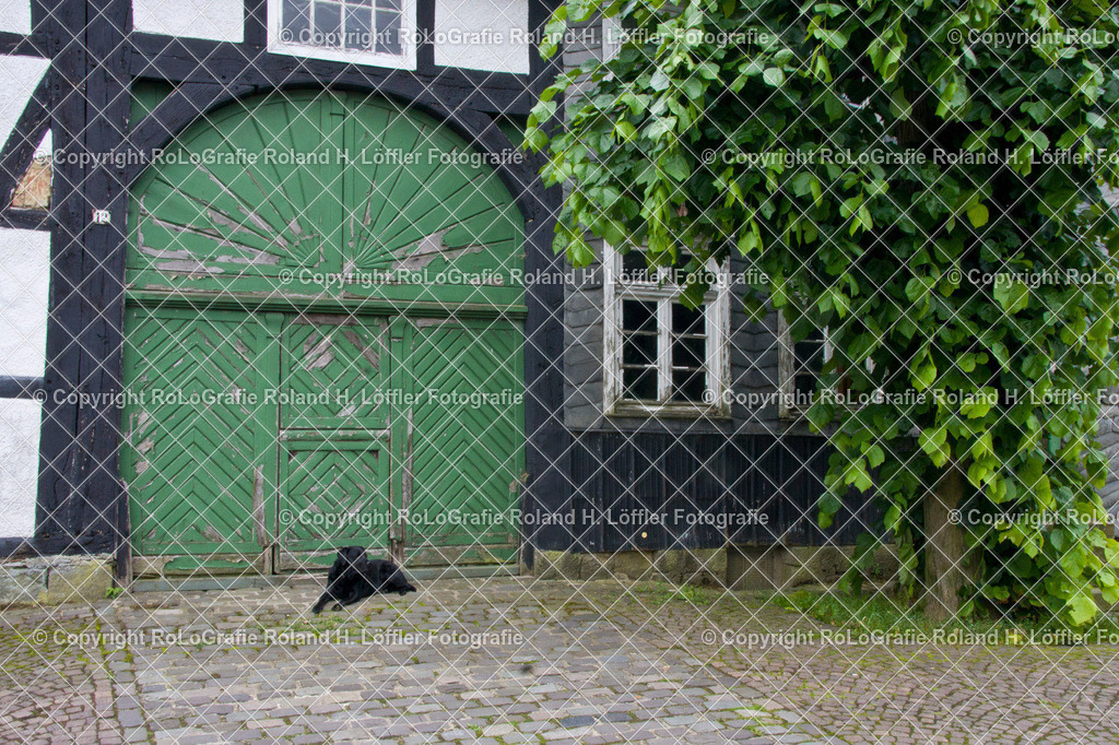 Altes-Haus-04-F | Scheunentor an altem Haus mit Sprossenfenstern, davor liegt ein Labrador - Realisiert mit Pictrs.com