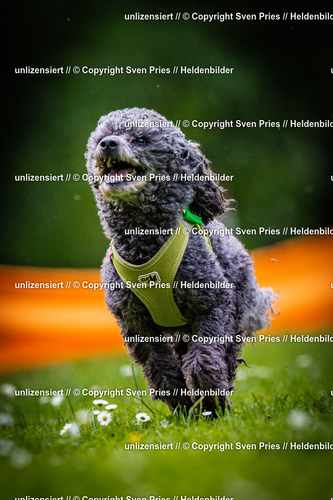 Sven Pries | 2025-05-29 - Pudelrennen KA-Durlach - Realisiert mit Pictrs.com