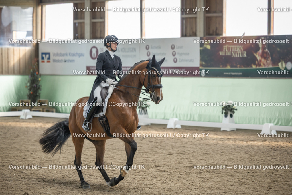 _D5A6697 | Emotionale Pferde- & People-Fotografie rund um Heidelberg, Leimen & Umgebung. Natürliche Fotos von Pferd, Mensch & Familie. Jetzt Termin sichern!