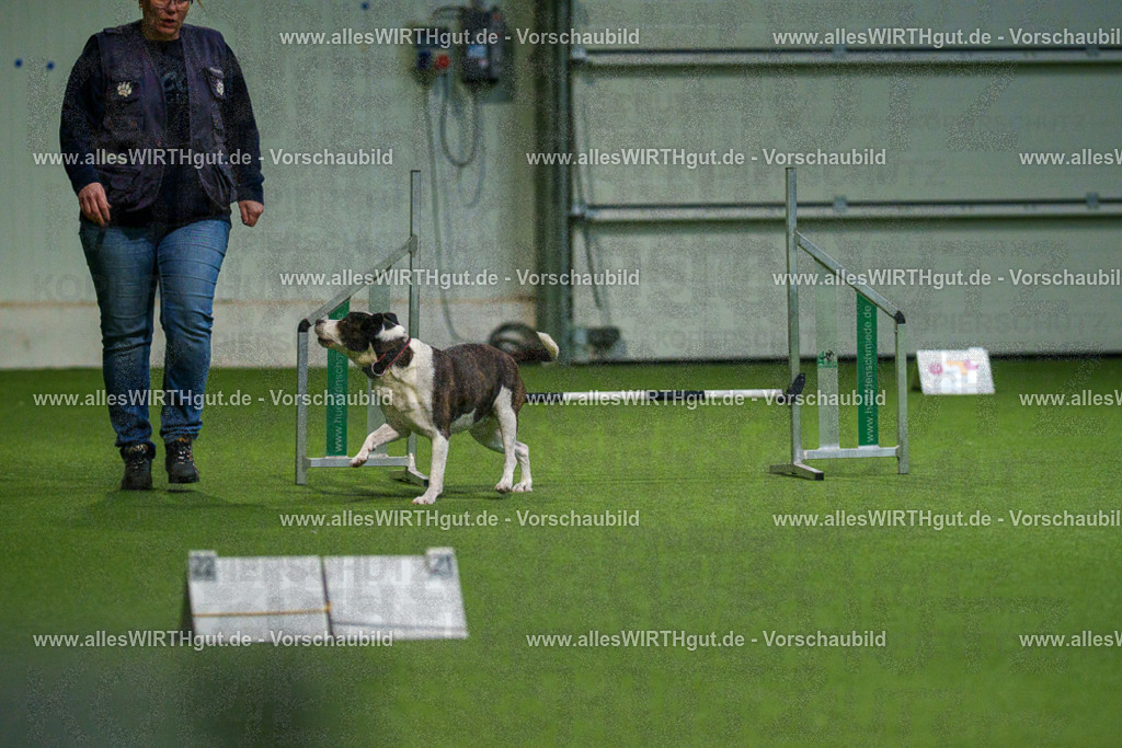 7R504757 | Professionelle Tierfotografie in Mönchengladbach von Daniel Wirth (allesWIRTHgut). Liebevolle & natürliche Bilder von Hunden & Katzen für unvergessliche Erinnerungen.