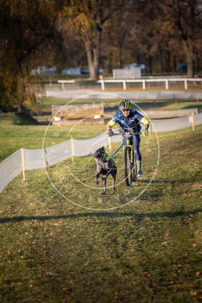 CaniXpix_DV3A0649 | Hundefotografie, Tierfotograf, Pfotenfotografie, Fotoshooting Hund, Hunde Portrait, Hundesport, Hundeportraits, Heideshooting, Hunde, Sportfotograf, Hundefotograf, Turnierhundsport, THS,  - Realisiert mit Pictrs.com