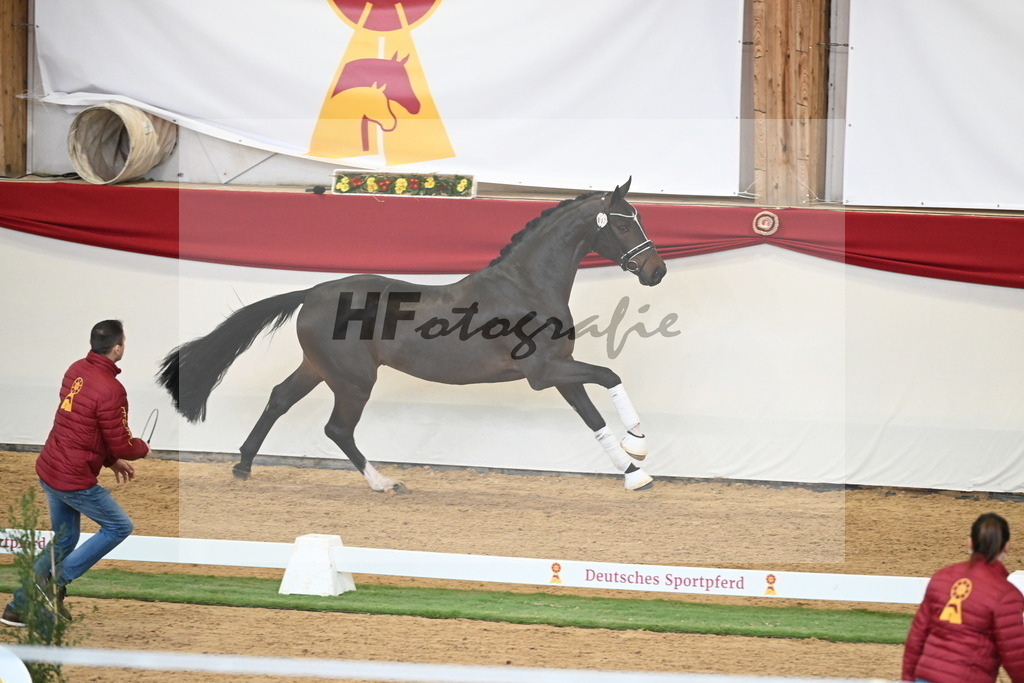Kat.-Nr. 63 v. Foundation_Schafhof _ Jäckel_2250443 | hf-fotografie - Realisiert mit Pictrs.com