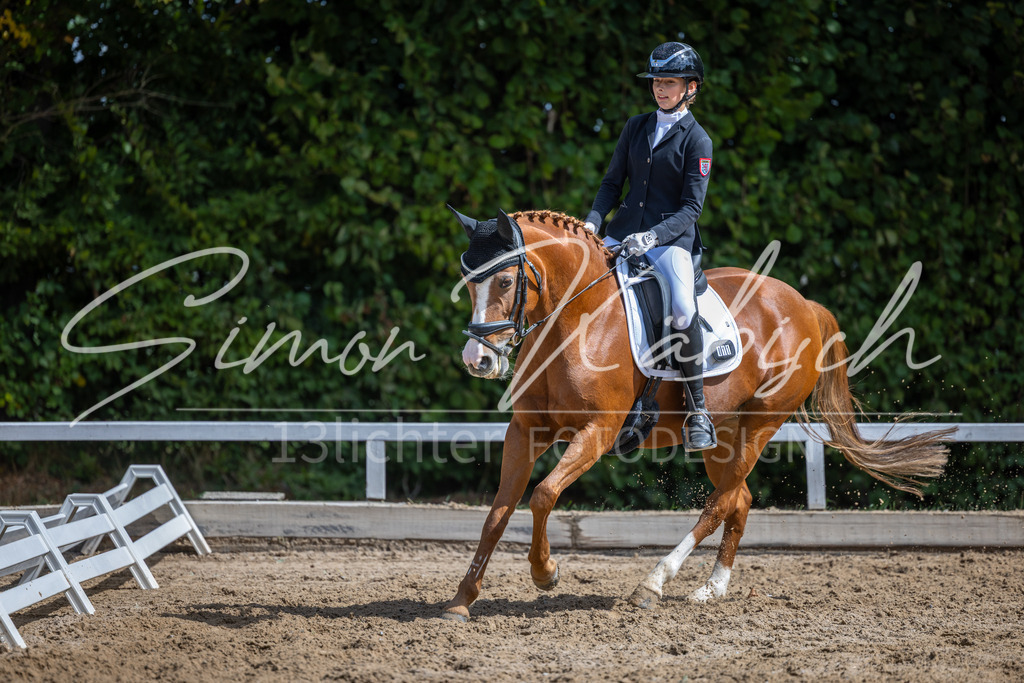20260905-_3LI8294 | Tierfotografie Pferde, Hunde, Katzen, Haustiere.
Turnierfotografie Reitturniere, Reiten, Springreiten, Dressur in Hanau, dem Main-Kinzig-Kreis und dem Rhein-Main- Gebiet um Frankfurt
