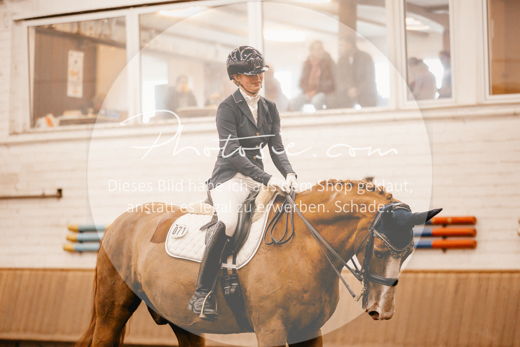 3I6A2810 | Stimmungsvolle Portraits und Reitsportfotografie im Ruhrgebiet und im Münsterland.

Pferdefotografie, Hundefotografie, Tierfotografie, Reportagen, Portraits von Tier und Mensch, Turnierfotografie in Bochum, Recklinghausen, Marl, Haltern am See, Dülmen.. - Realisiert mit Pictrs.com