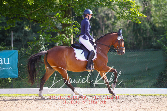 DKP42918 | Turnierfotos kaufen im Webshop von Daniel Kuhl Photography – entdecke professionelle Reitsportfotos aus Turnieren & Events. Hochwertige Turnierbilder online bestellen & sichern. Jetzt Fotos von Reitsportturnieren kaufen!