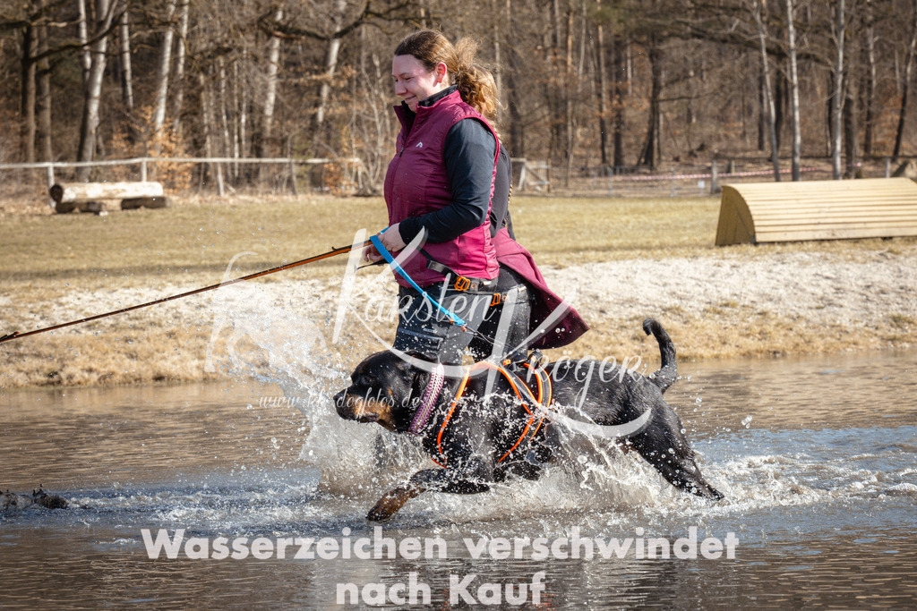1126_ZZ94588 | kk-dogfotos
