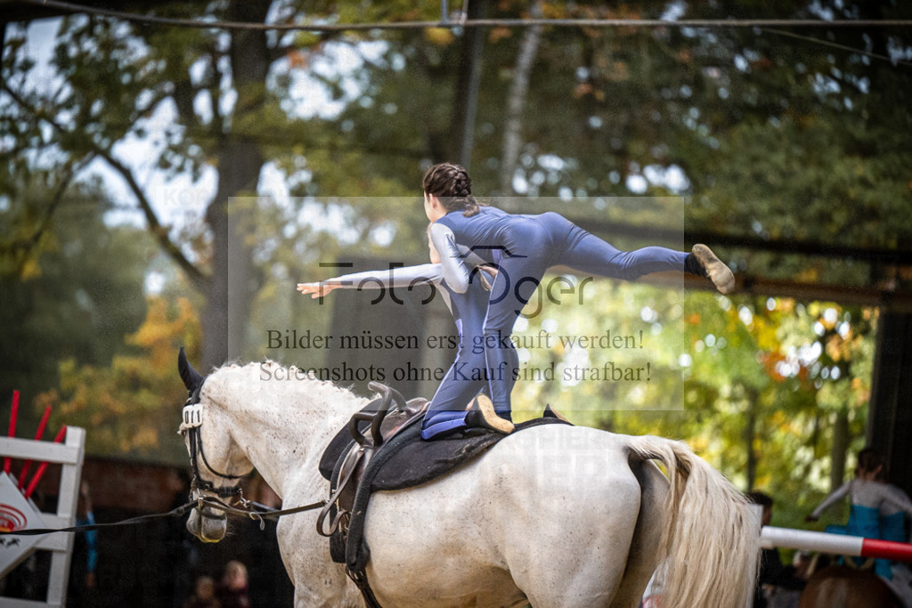 DOS_0184 | Entdecke hochwertige Reitturnierfotos von Foto Oger. Professionell, emotional und authentisch – jetzt Lieblingsmomente im Shop bestellen.Deutschlandweite Turnierfotografie. - Realisiert mit Pictrs.com