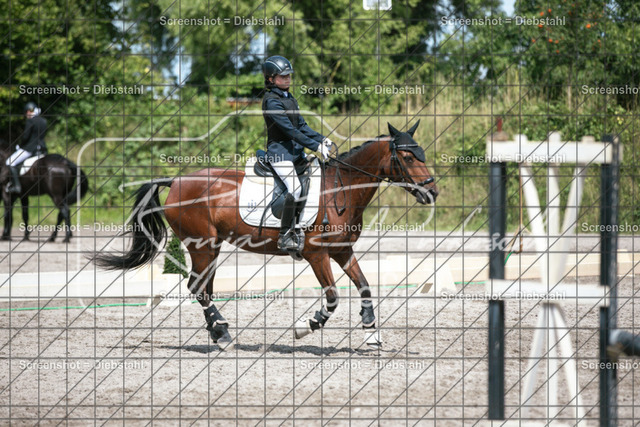 _W6A8436 | ronjaprokoschfotografie - Realisiert mit Pictrs.com