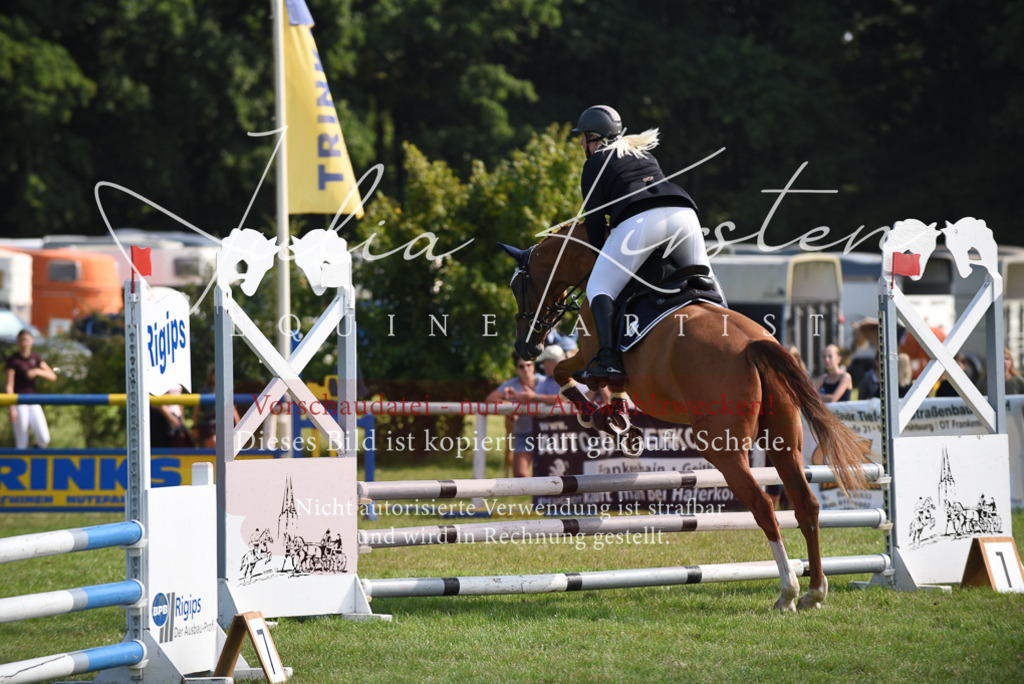 DSC_9033 | Pferde- und Turnierfotografie in Westsachsen. Pferdeportraits, Auftragszeichnungen und intuitive Kunst.