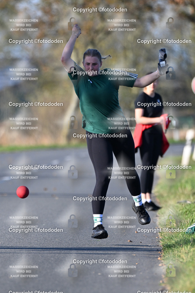 DSC_3123b | Tomke Ripken / Utarp-Schweindorf