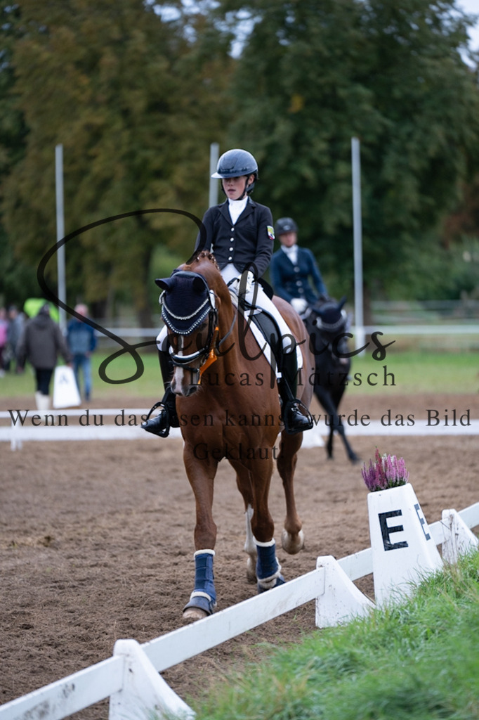 A7V06064 | Pferdefotograf