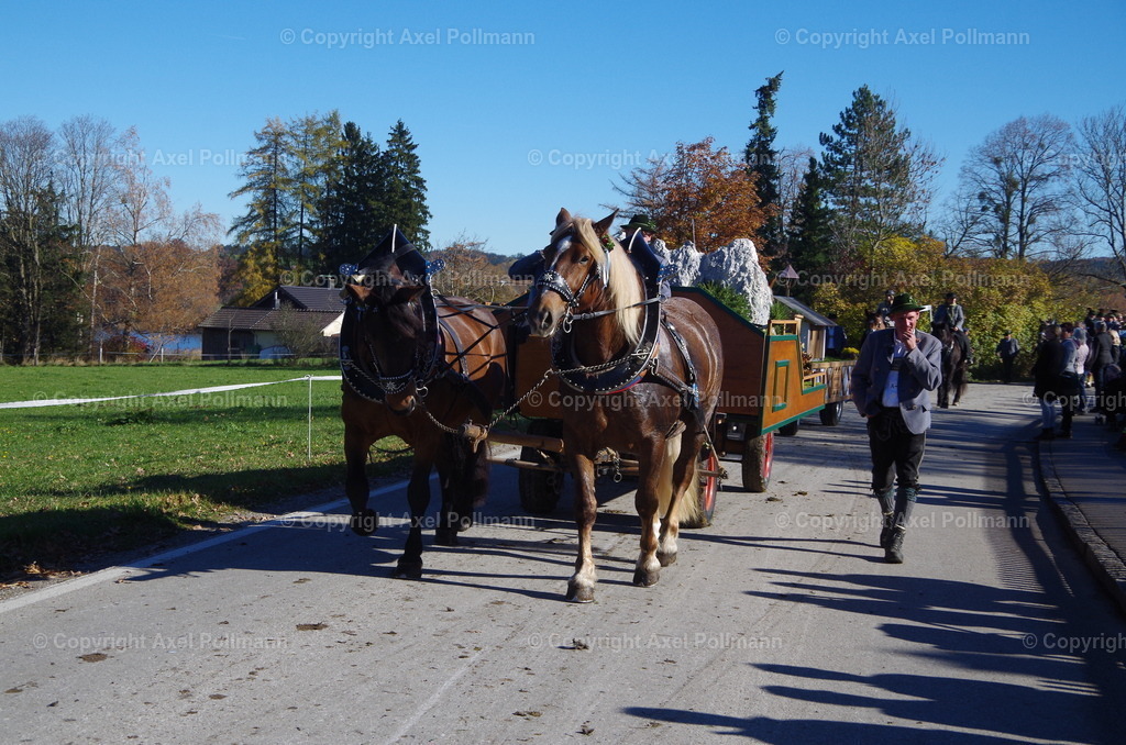 IMGP8487 | fotografiert von Axel PollmannLeonhardi Wallfahrt Benediktbeuern und Murnau, Fronleichnam, Fasching, Landschaft im Loisachtal und Benediktbeuern  - Realisiert mit Pictrs.com