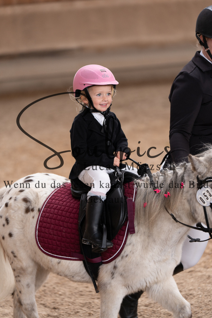 A7507307 | Pferdefotograf