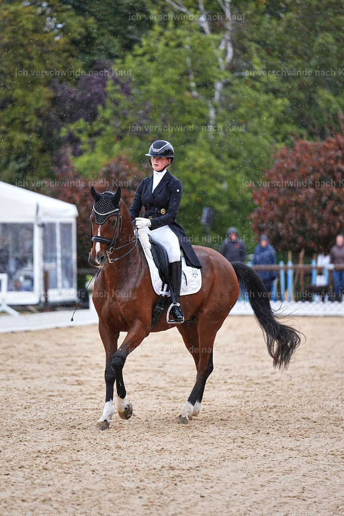 07-048-DRESSUR  S___  -Marixx-5110 | working equitationturnier fotograf videograf stoibphotography marixx film working equitation deutschland reitsport turnierfotografie eventfotografie equestrian events