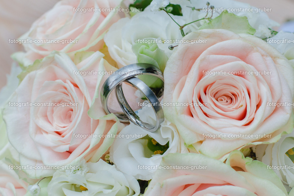 1018 | Fotografie Constance Gruber - Realisiert mit Pictrs.com