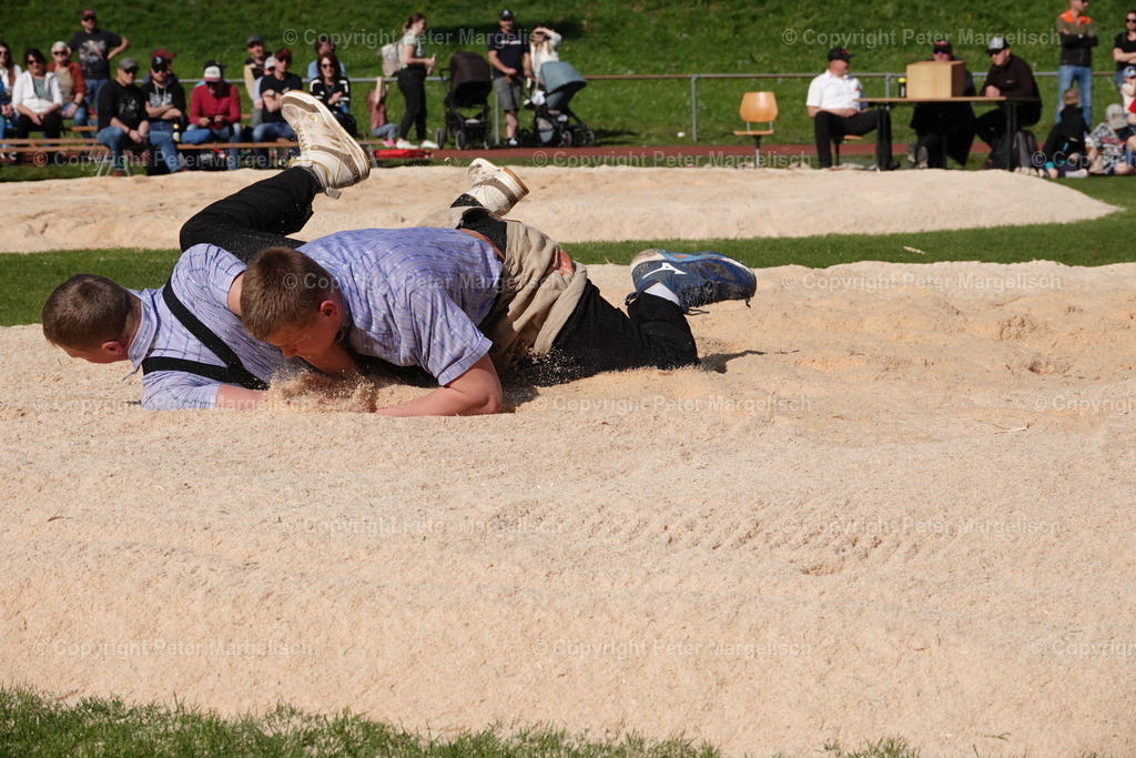 DSC00476 | Schwingen - Realisiert mit Pictrs.com