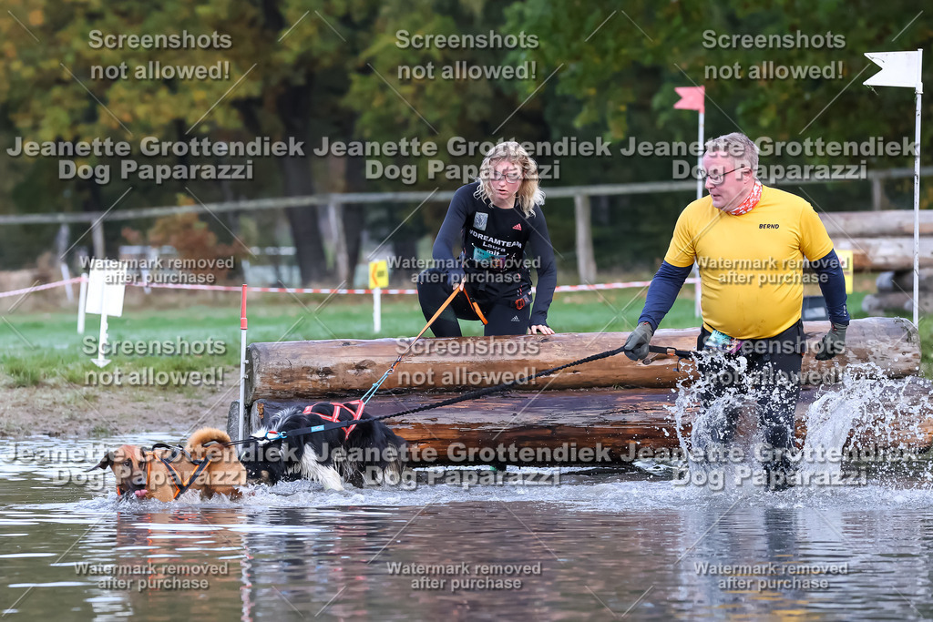 Dog Paparazzi - Strongdog 10-25-6405 | Dog Paparazzi Jeanette Grottendiek Fotografie & Videografie - Realisiert mit Pictrs.com