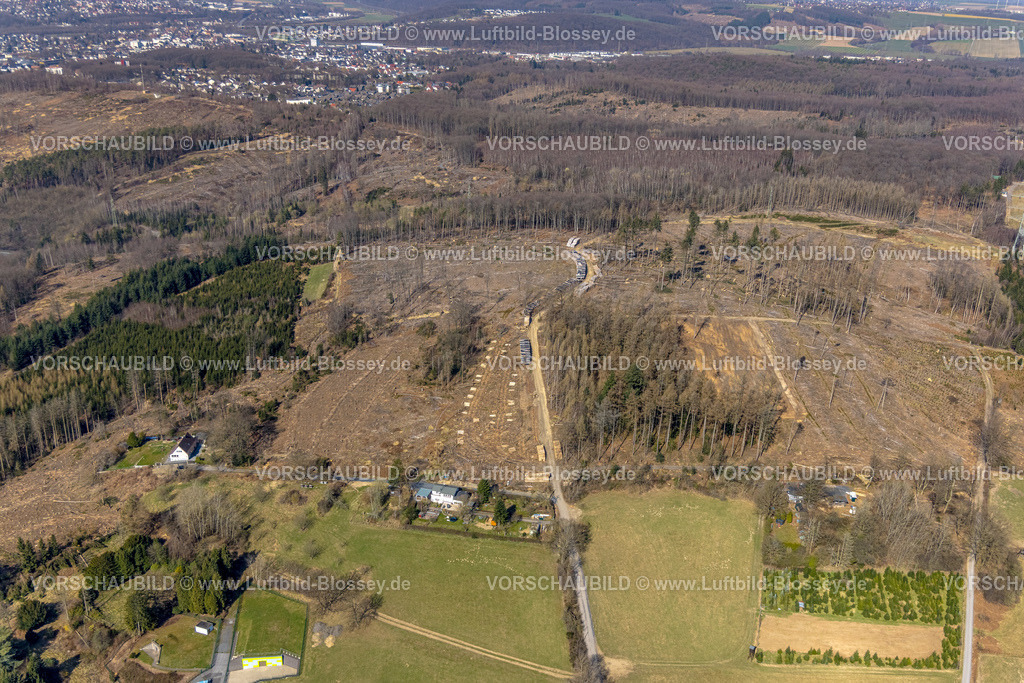 Arnsberg220301999Neheim | Luftbild, Waldgebiet mit Waldschäden in Neheim, Arnsberg, Sauerland, Nordrhein-Westfalen, Deutschland